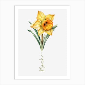 March Birth Flower Birth Month Botanical Art Print