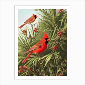 Northern Cardinal Haeckel Style Vintage Illustration Bird Art Print