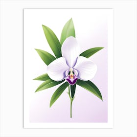 Orchid Flower Vector Art Print