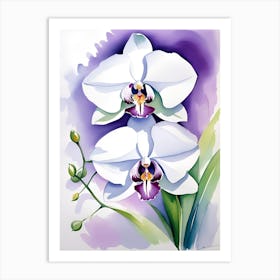 Orchids 5 Art Print