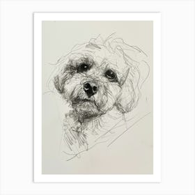 Bichon Frise Dog Charcoal Line 2 Art Print