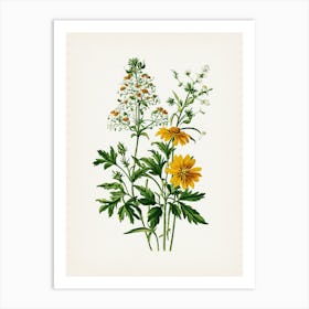 Vintage Botanical Galleria Style Wildflower Painting 24 Art Print