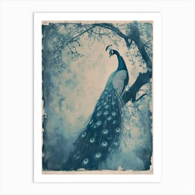 Peacock In A Tree Vintage Cyanotype Inspired 3 Art Print