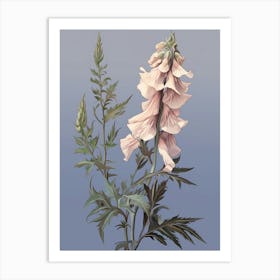 Floral Illustration Aconitum 1 Art Print