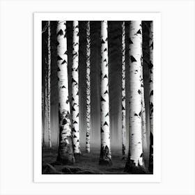 Birch Forest 95 Art Print