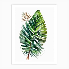 Australian Tree Fern Watercolour Art Print