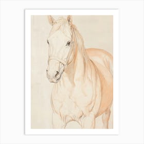 White Horse Drawing Art Print