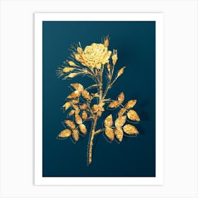 Vintage White Rose of Rosenberg Botanical in Gold on Teal Blue n.0108 Art Print