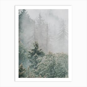 Forest Trees Art Print