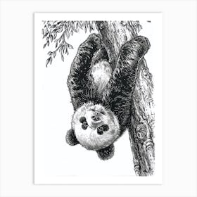 Giant Panda Cub Hanging Upside Down From A Tree Ink Illustration 4 Art Print