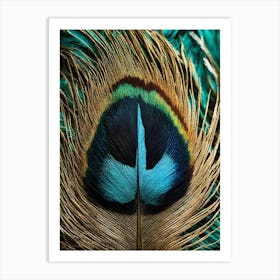 Peacock Feather Art Print