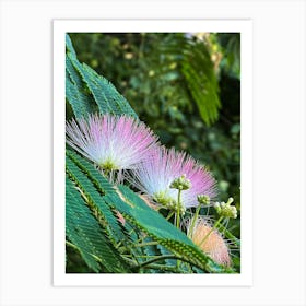 Flowering Tree In The Forest Art Print