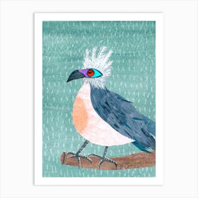 Crested Coua Art Print