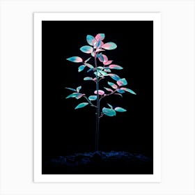 Luminous Plant Art Print