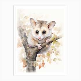 Light Watercolor Painting Of A Leadbeaters Possum 1 Art Print