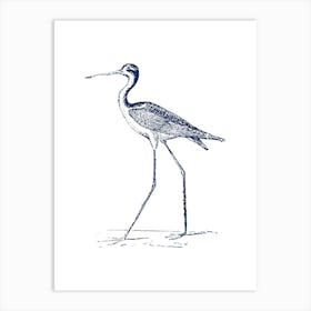 Bird With Long Legs Art Print