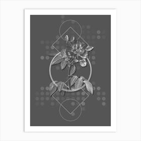Vintage French Rosebush with Variegated Flowers Botanical with Line Motif and Dot Pattern in Ghost Gray Art Print