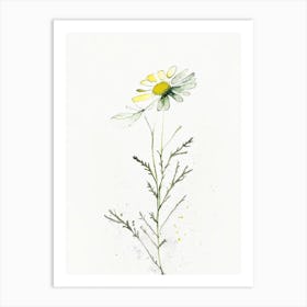 Chamomile Leaf Minimalist Watercolour Art Print