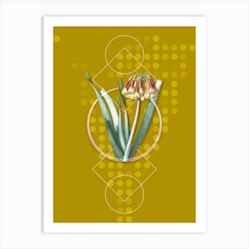 Vintage Knysna Lily Botanical with Geometric Line Motif and Dot Pattern n.0415 Art Print