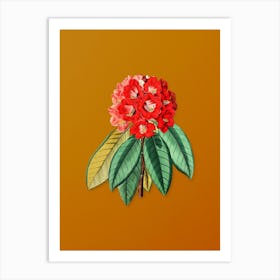 Vintage Rhododendron Rollissonii Flower Botanical on Sunset Orange n.0318 Art Print