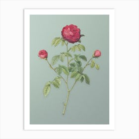 Vintage Agatha Rose in Bloom Botanical Art on Mint Green n.0550 Art Print
