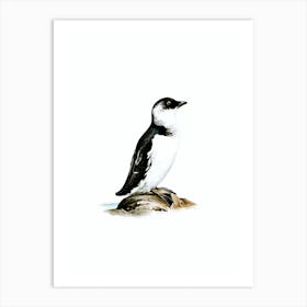 Vintage Little Auk Bird Illustration on Pure White n.0175 Art Print