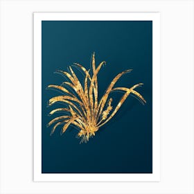 Vintage Sansevieria Carnea Botanical in Gold on Teal Blue n.0275 Art Print