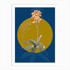 Vintage Botanical Sun Star on Circle Yellow on Blue n.0135 Art Print