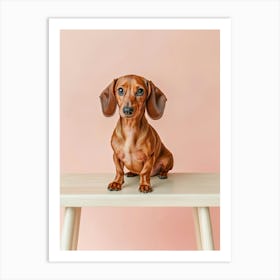 Dachshund Sitting On A Table.Generated AI. Art Print Poster