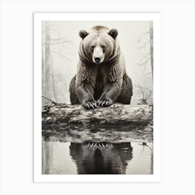 Wild Majesty: A Bear's Haven Art Print