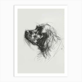 Sussex Spaniel Dog Charcoal Line 1 Art Print