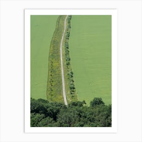 A path leads through green fields Art Print