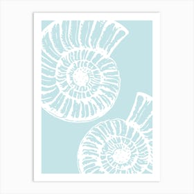 Seashells 6 Art Print