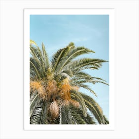 Palm Tree Against Blue Sky in Bari, Puglia, Italy | Colorful Travel Photography Art Print