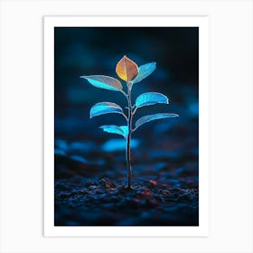 Young Plant On The Ground Art Print