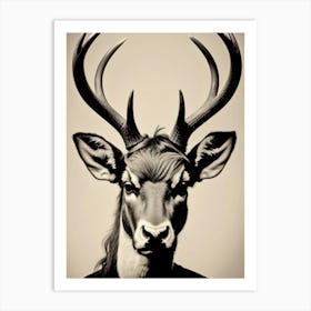 Deer Head 49 Art Print