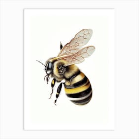Sting Bee 2 Vintage Art Print