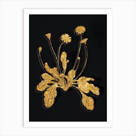 Vintage Daisy Flowers Botanical in Gold on Black Art Print