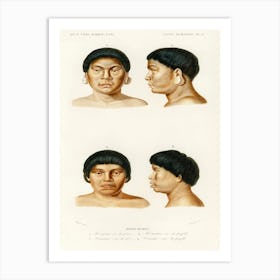 Human Race, Charles Dessalines D' Orbigny 2 Art Print