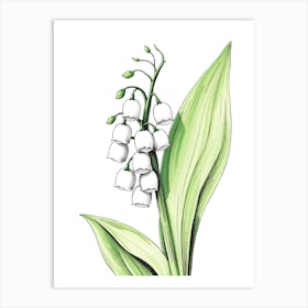 Lily Of The Valley 19 Art Print