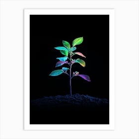 Rainbow Plant On Black Background 3 Art Print