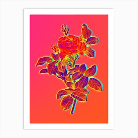 Neon Red Gallic Rose Botanical in Hot Pink and Electric Blue n.0199 Art Print
