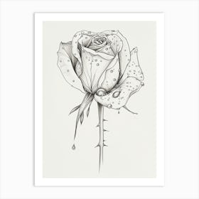 English Rose Dew Line Drawing 3 Art Print