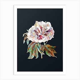 Vintage Double Red Curled Tree Peony Botanical Watercolor Illustration on Dark Teal Blue Art Print