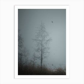 A Tree In A Foggy Forest. Art Print