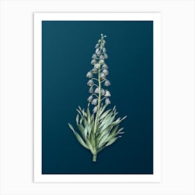 Vintage Persian Lily Botanical Art on Teal Blue n.0291 Art Print