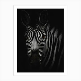 Zebra Art Print