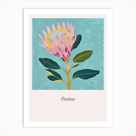 Protea 1 Square Flower Illustration Poster Art Print