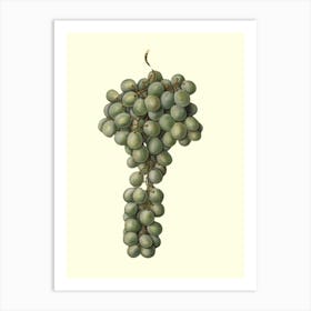 Grapes Art Print