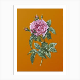 Vintage Pink French Rose Botanical on Sunset Orange Art Print